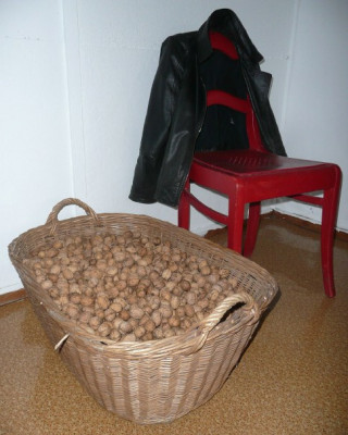 0_ernte_0910.jpg