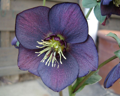 Imgp7884.jpg