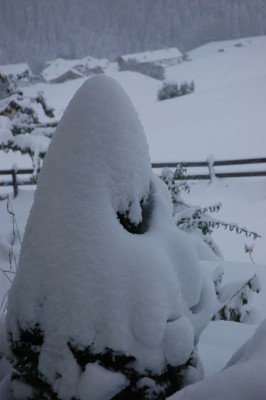 004oktoberschnee2.jpg