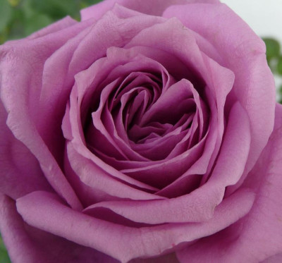 MamyBlue_10_09_03.JPG