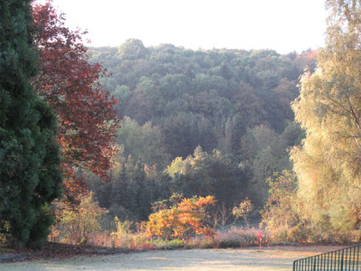 vorgebirge_15_okt_09.jpg