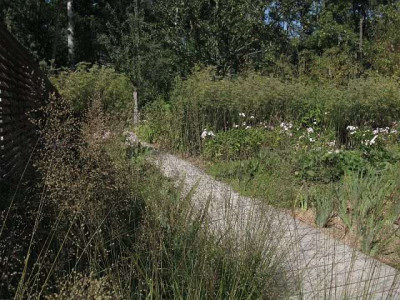 diegartentullne_sporobolus_2008-09.jpg