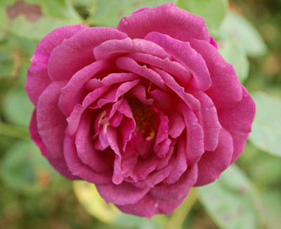 Ebb_Tide_0010__61096.jpg