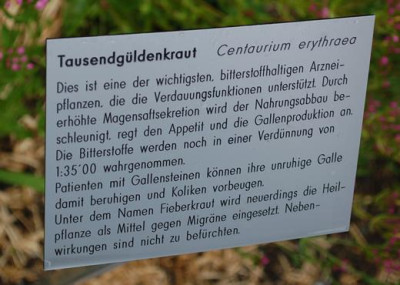 Centaurium_erythraea__53324_92.jpg