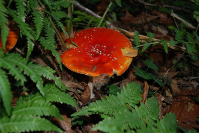 B0341_Small.JPG