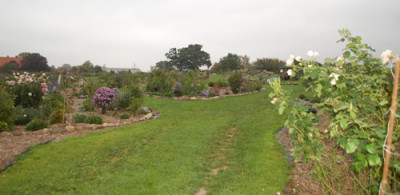 Ansicht_0011__58961.jpg