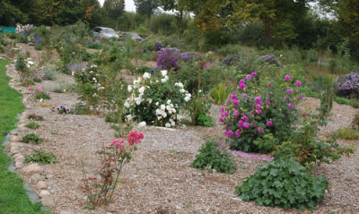 Ansicht_0010__59648.jpg