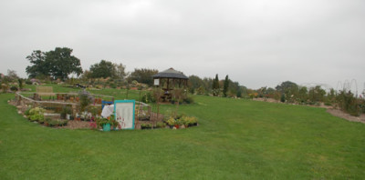 Ansicht_0010__59551.jpg