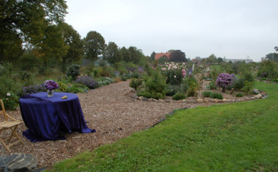 Ansicht_0010__58960.jpg