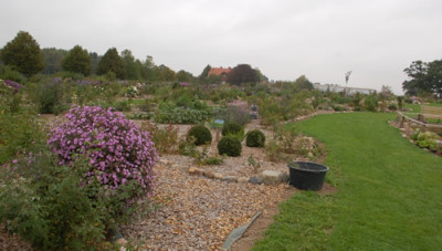 Ansicht_0010__59550.jpg