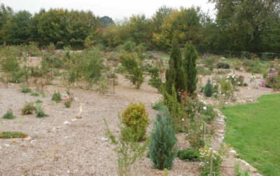 Ansicht_0010__59638.jpg