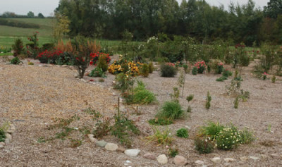 Ansicht_0010__59641.jpg
