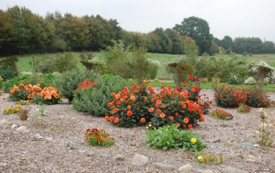 Ansicht_0010__59642.jpg