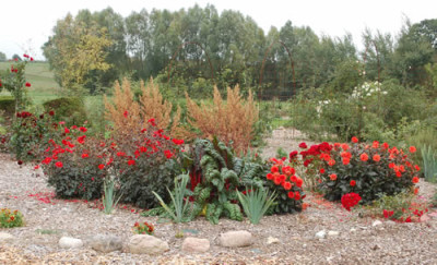 Ansicht_0010__59643.jpg