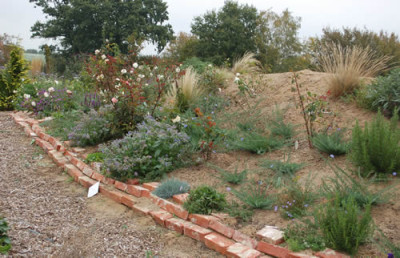 Ansicht_0010__59646.jpg