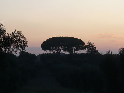 28_Abendstimmung_fars_2009.jpg