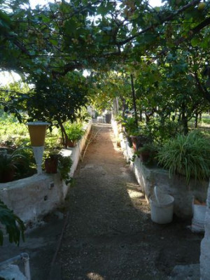 52_Klostergarten_San_Vito__fars_2009.jpg