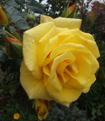 DSCF4254.JPG