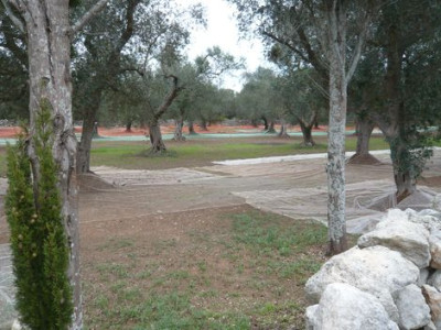 59_Erntevorbereitungen_fars_2009.jpg