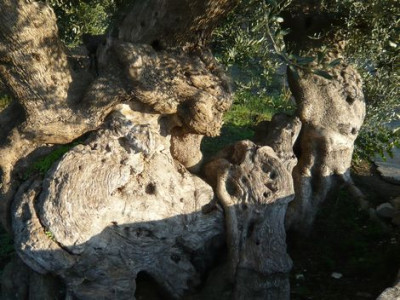 65.jpg