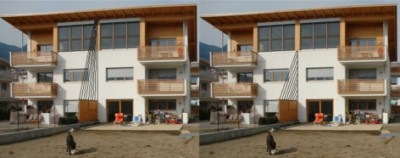 050317_Rankdraehte_Superdinos_Haus.jpg