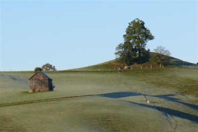 20.10.2009.10.JPG