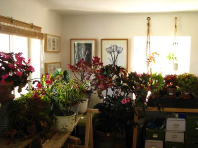 uberwinterungszimmer.jpg