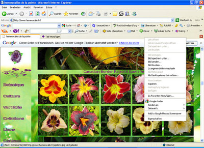 Screen1.jpg