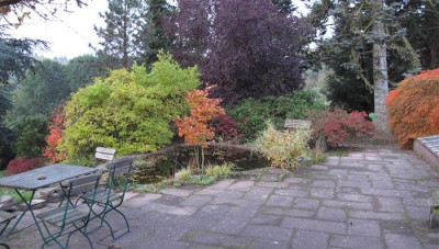 herbstbunt.jpg