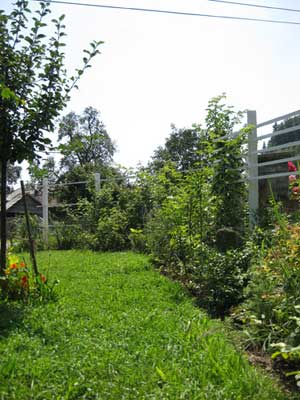 August-2009.jpg