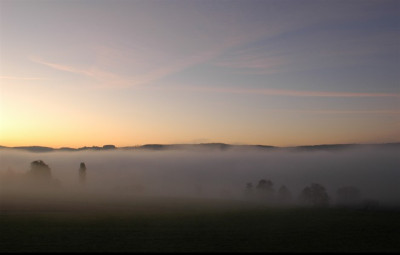 nebelmorgen_bodensee.jpg