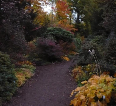 Herbstabend.jpg