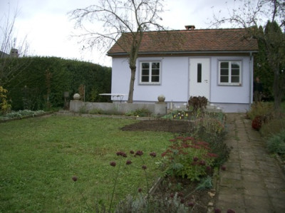 IMGP8264.JPG