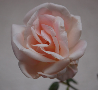 Jean_Ducher_0015__58705.jpg