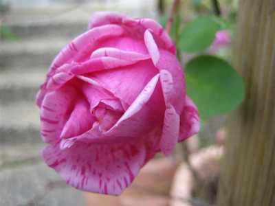 01-11-2009_019_Small.jpg