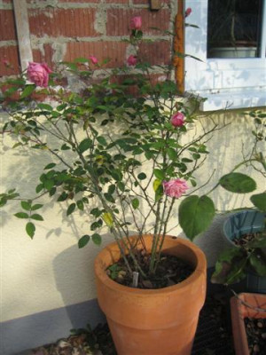 01-11-2009_007_Small.jpg