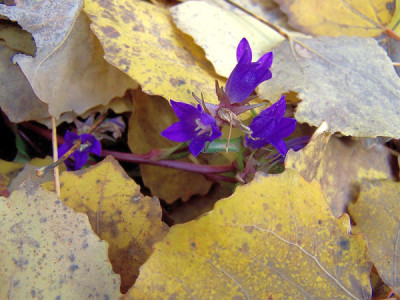 100_9935.JPG