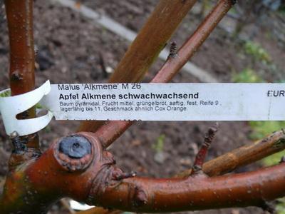 Apfel_Beschriftung.jpg