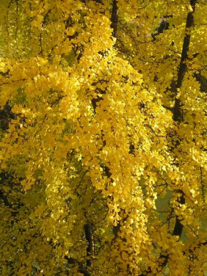 091027_04a.jpg