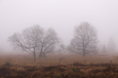 Venn_9739-Ausschnitt.jpg