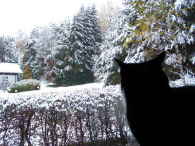 Wintermodell.jpg