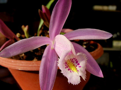 DSCF9836.JPG