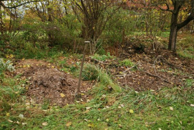 laub_haecksel_haufen_nov_09.jpg