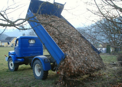 hanomag_laub.jpg