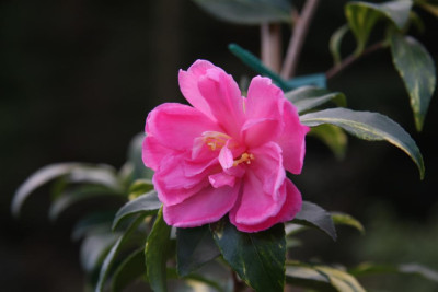 IMG_1641_Large.JPG