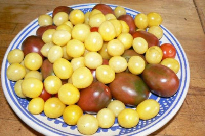 Novembertomaten.jpg