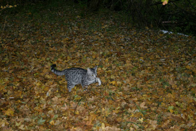 Nov.0209.jpg