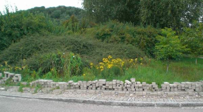 CIMG1630.JPG