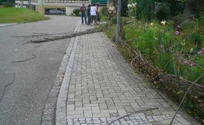 CIMG9230.JPG