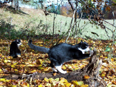 100_0060.JPG